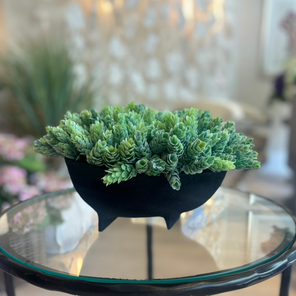 Hops in Black Triangle Bowl Large