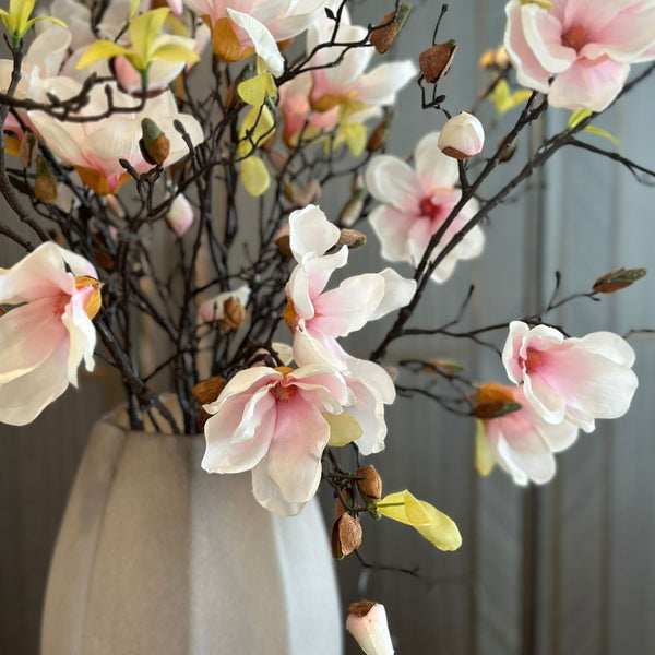 Blush Magnolias in Light Brown Vase