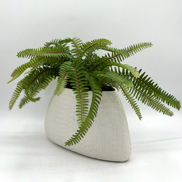 Fern in Textured Oval Pot
