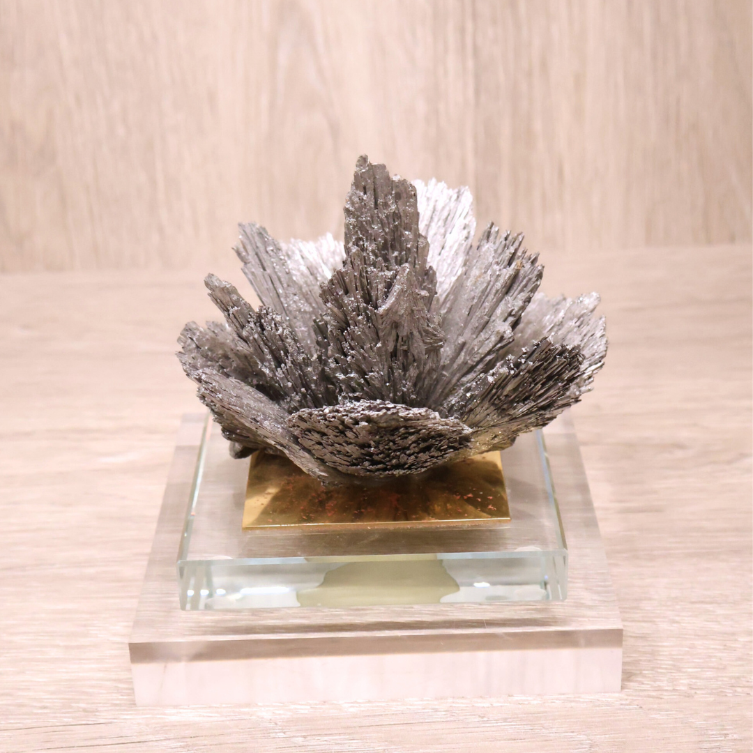 Water Lily Kyanite Silver