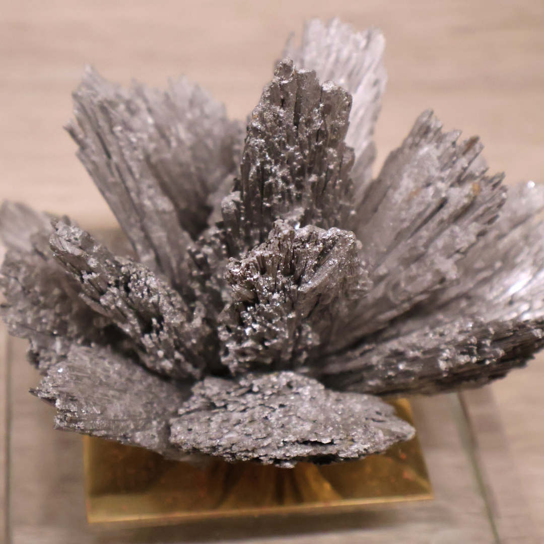 Water Lily Kyanite Silver