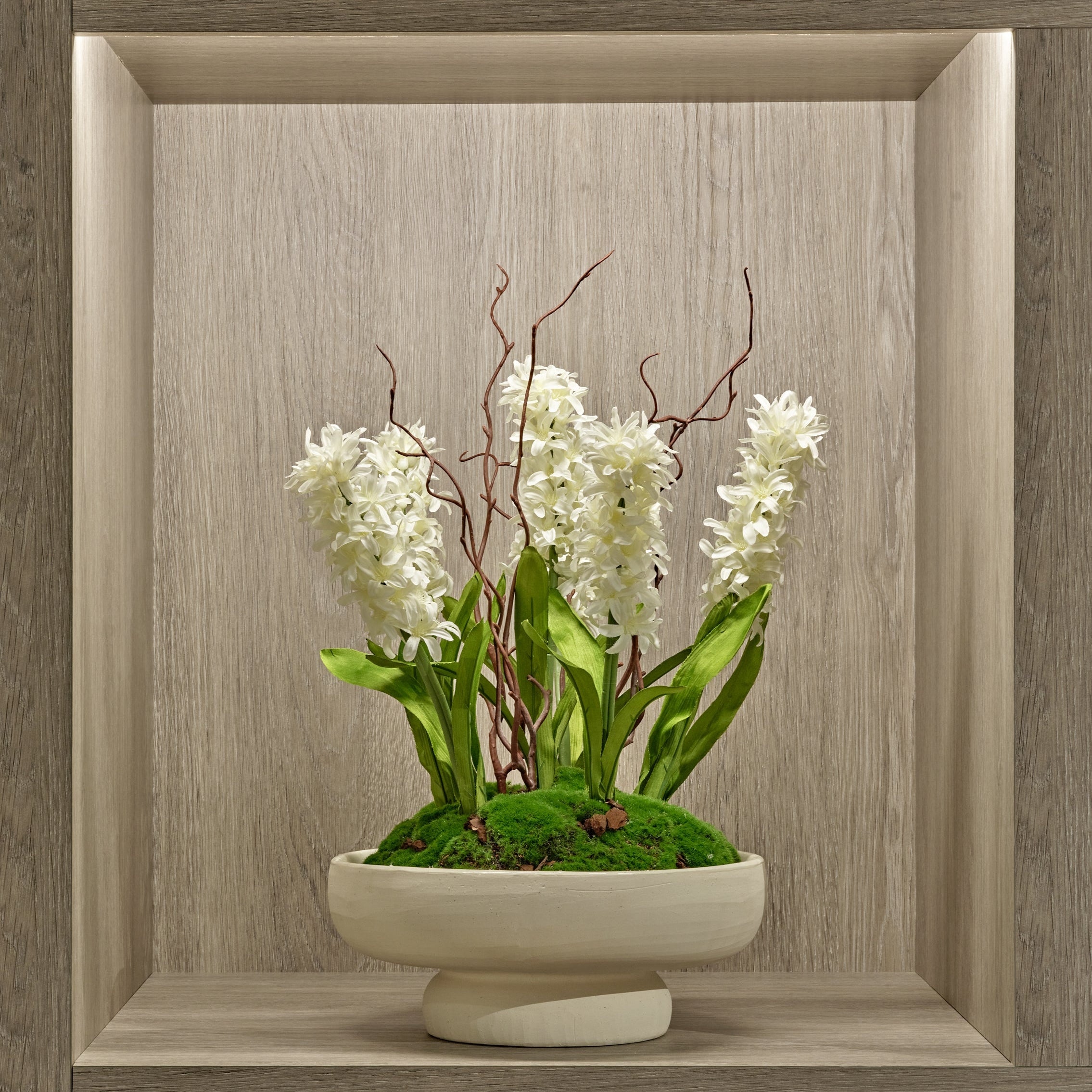 Hyacinth in Cream Footed Bowl
