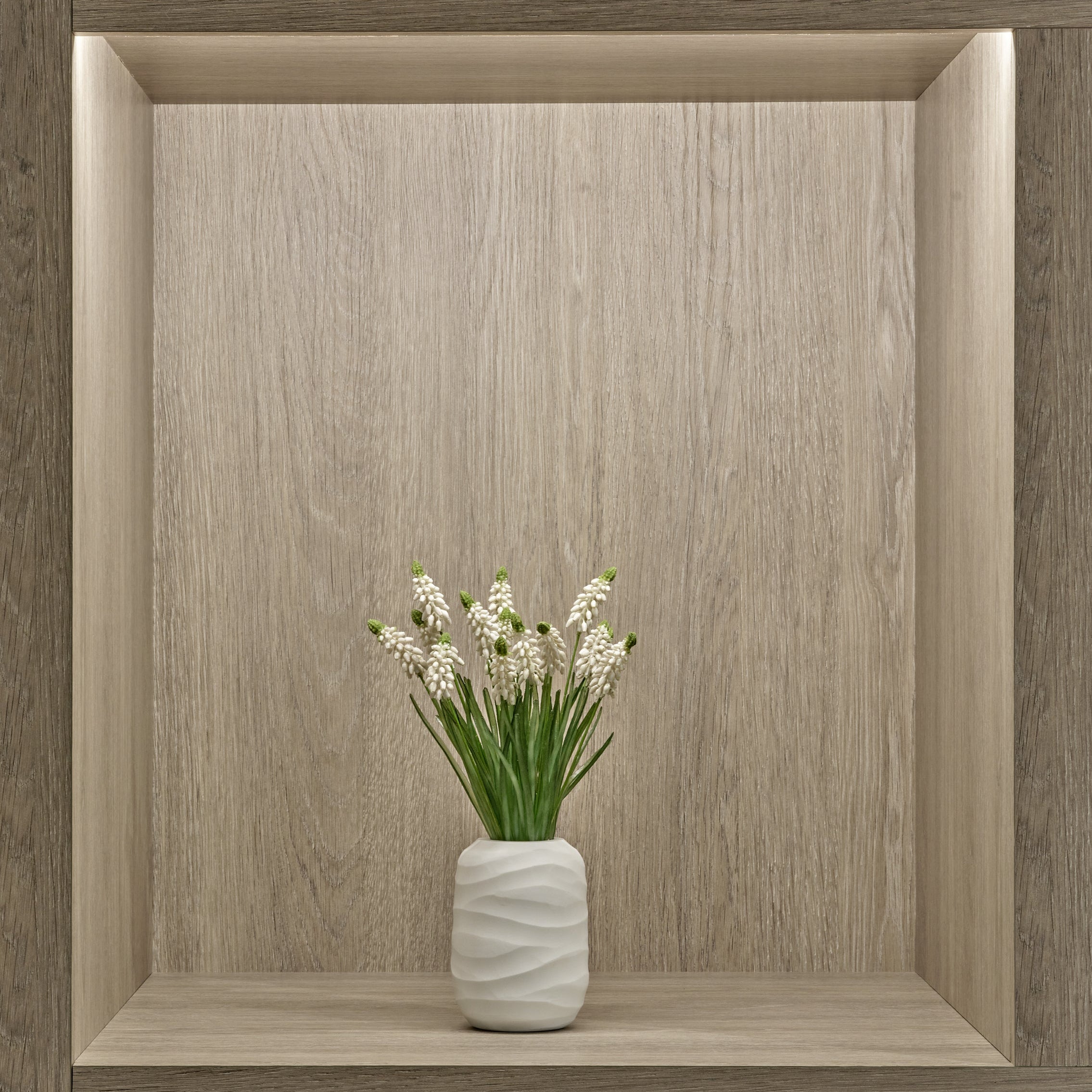 White Grape Hyacinth in White Vase