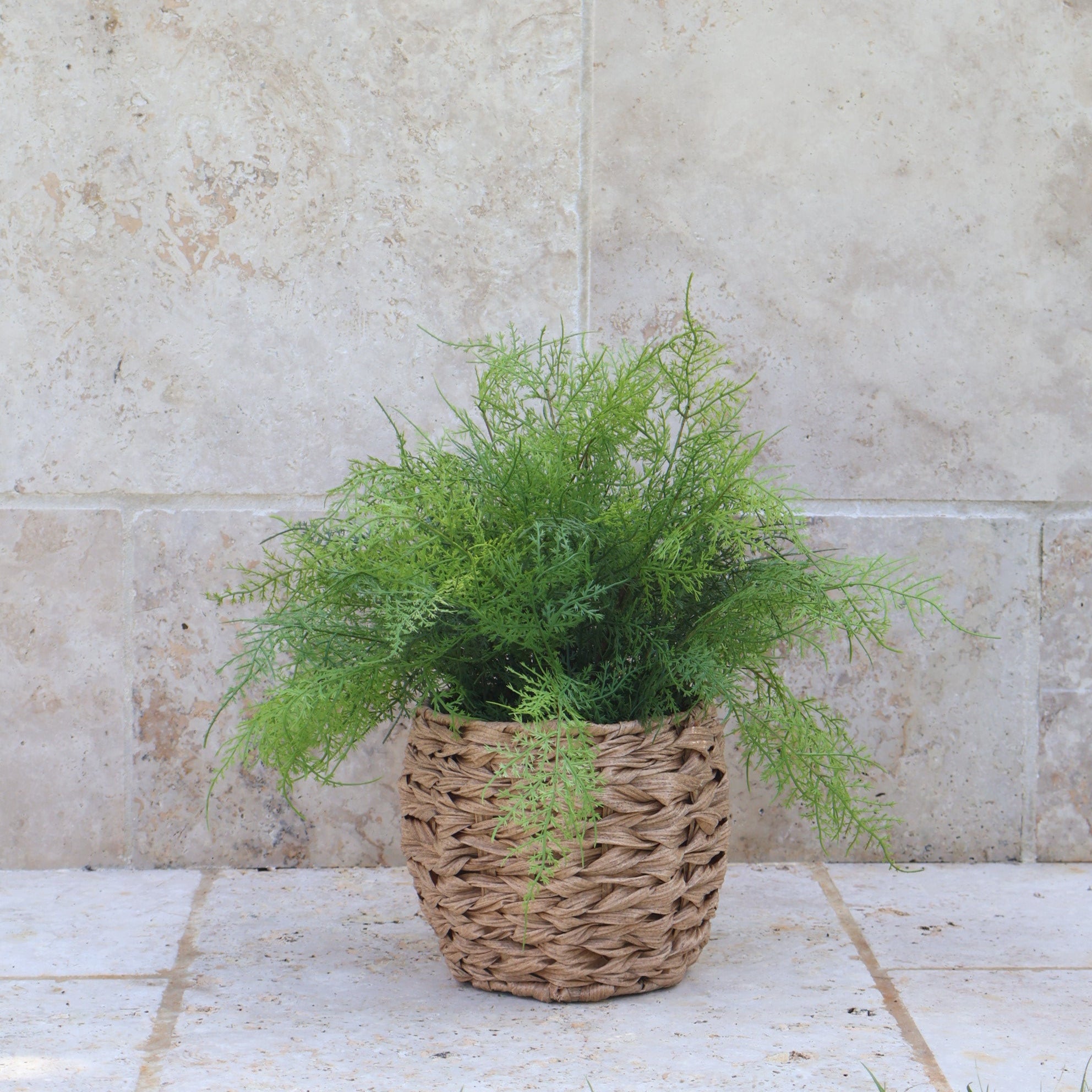 Faux Fern in Round Wicker Basket