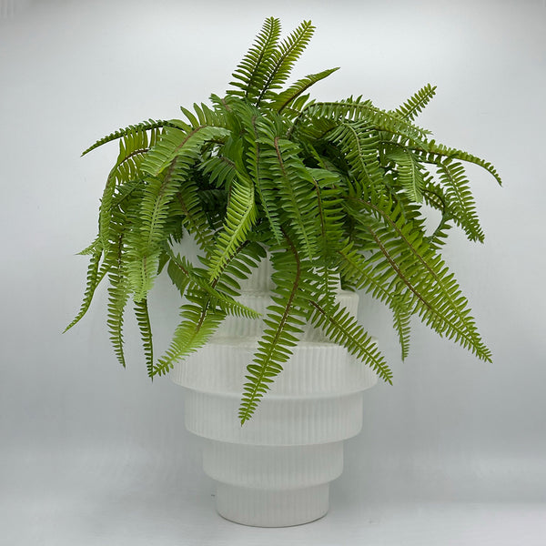 Fern in Tiered White Vase - Large