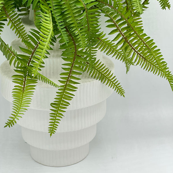 Fern in Tiered White Vase - Large