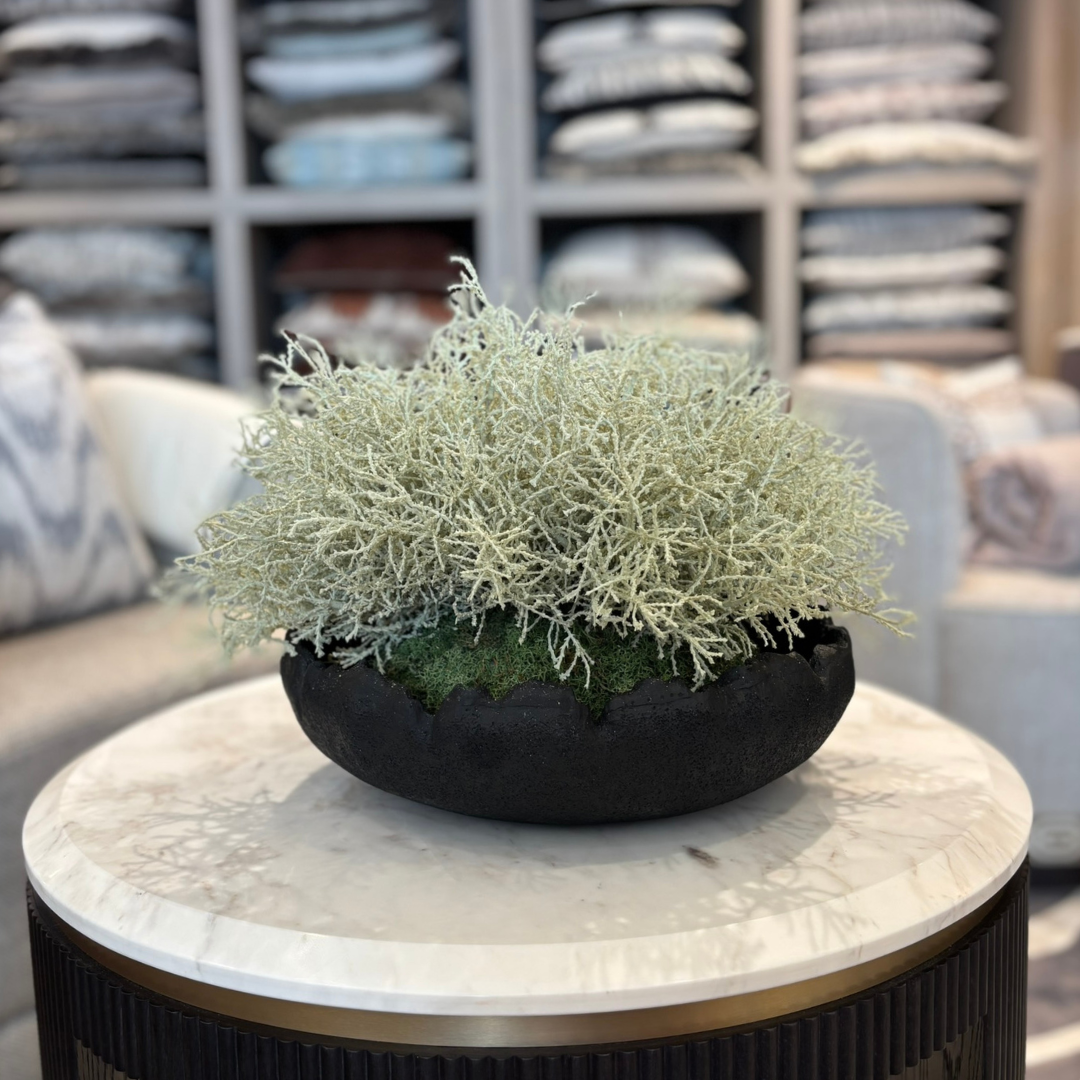 Cushion Bush in Black Textured Bowl