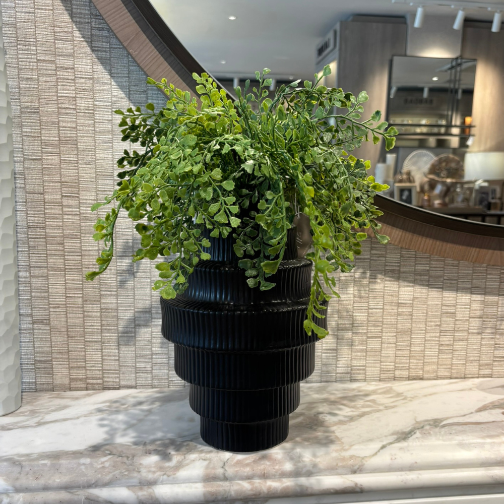 Maidenhair in Black Stepped Vase - Large