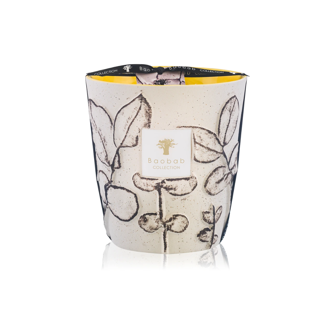 Baobab Folia Calanque Collection