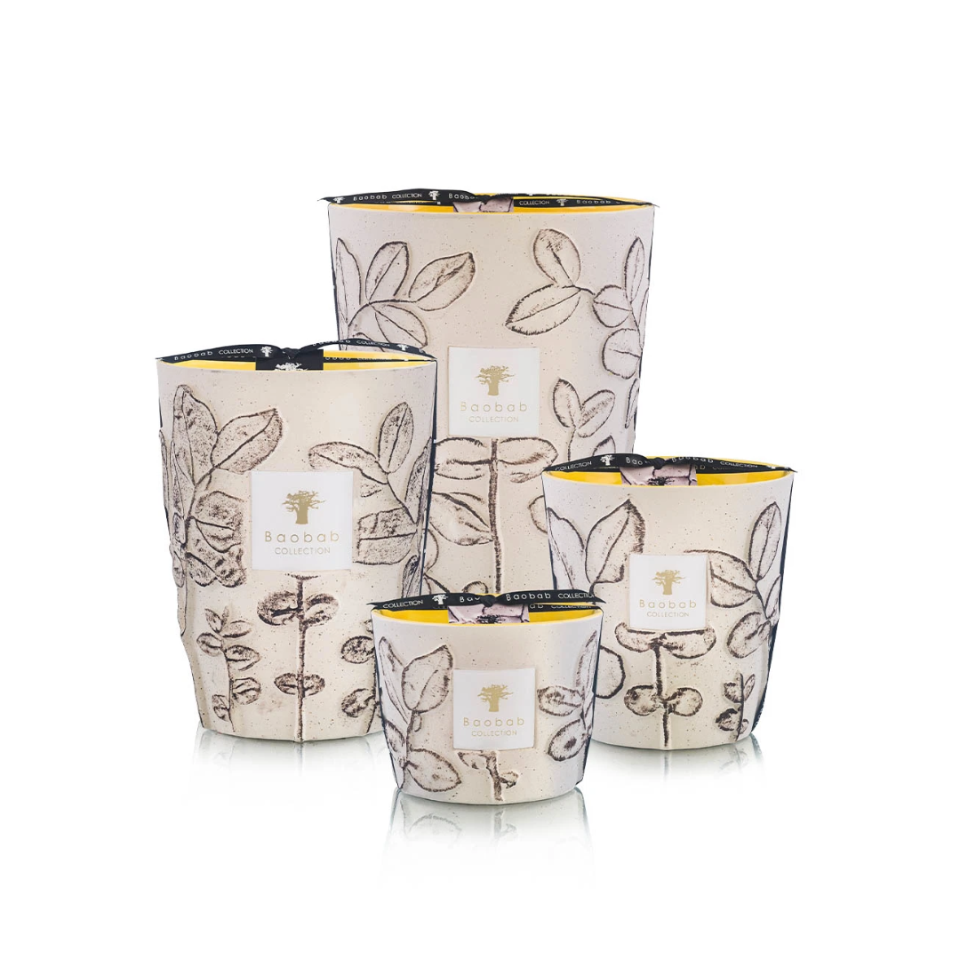 Baobab Folia Calanque Collection