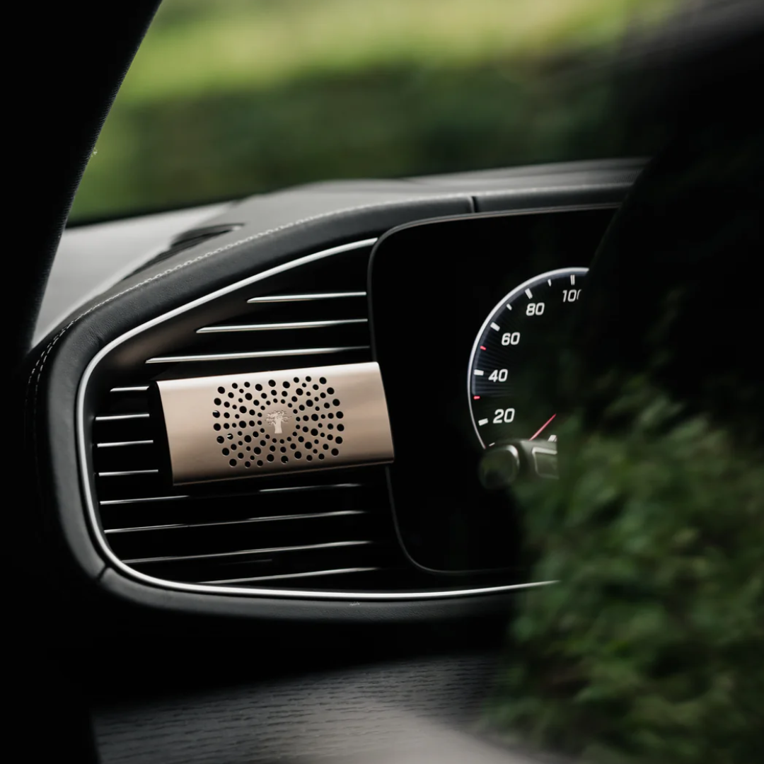 Baobab Car Diffuser - White Pearl