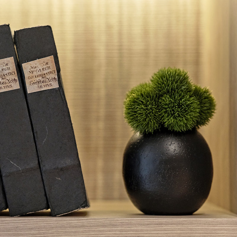 Dianthus in Small Black Vase