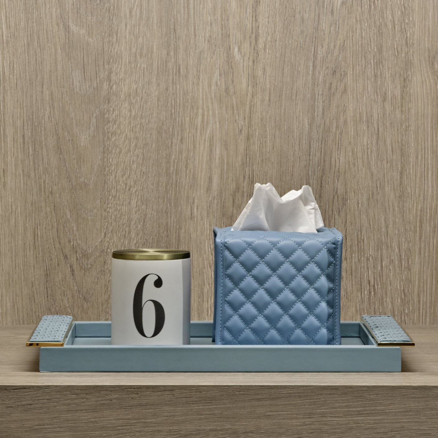 Azure Leather Tray With Braided Accent Handles