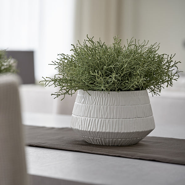 Cushion Bush in Graffi Vase