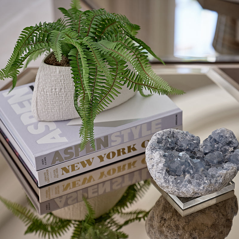 Fern in Textured Oval Pot