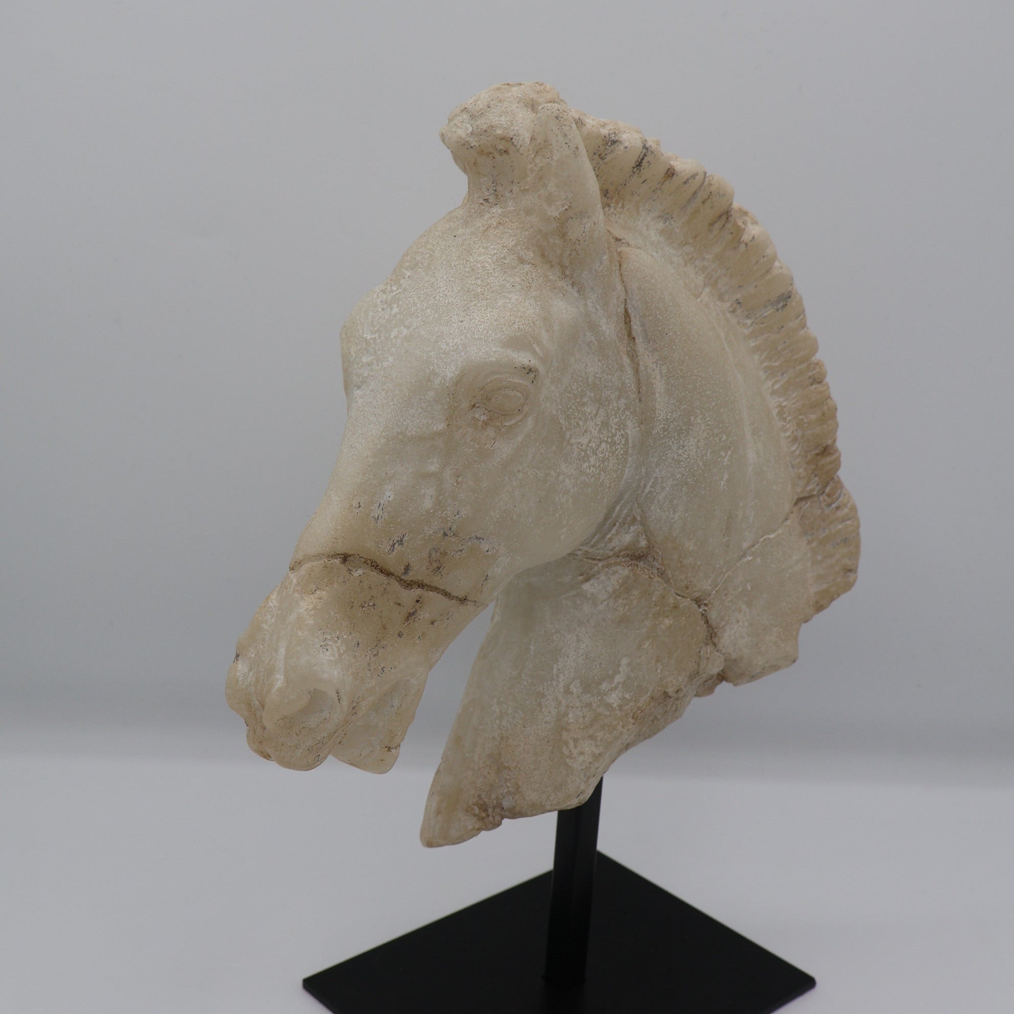 Cream Horse Head Sculpture
