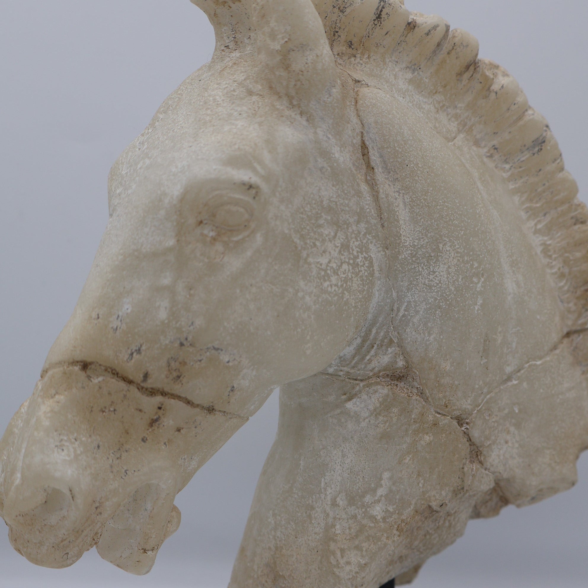 Cream Horse Head Sculpture
