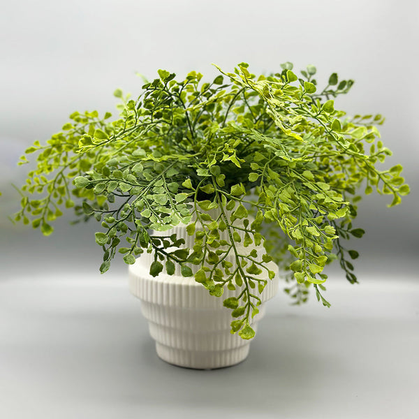 Maidenhair Fern in Tiered White Vase - Small