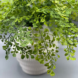 Maidenhair Fern in Tiered White Vase - Small