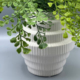 Maidenhair Fern in Tiered White Vase - Small