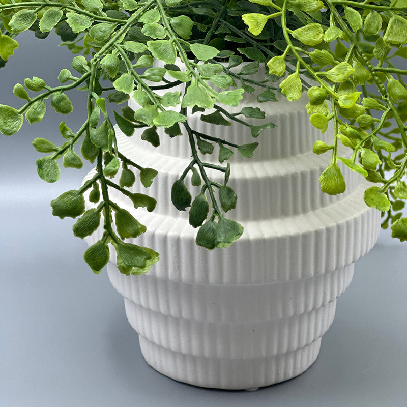 Maidenhair Fern in Tiered White Vase - Small