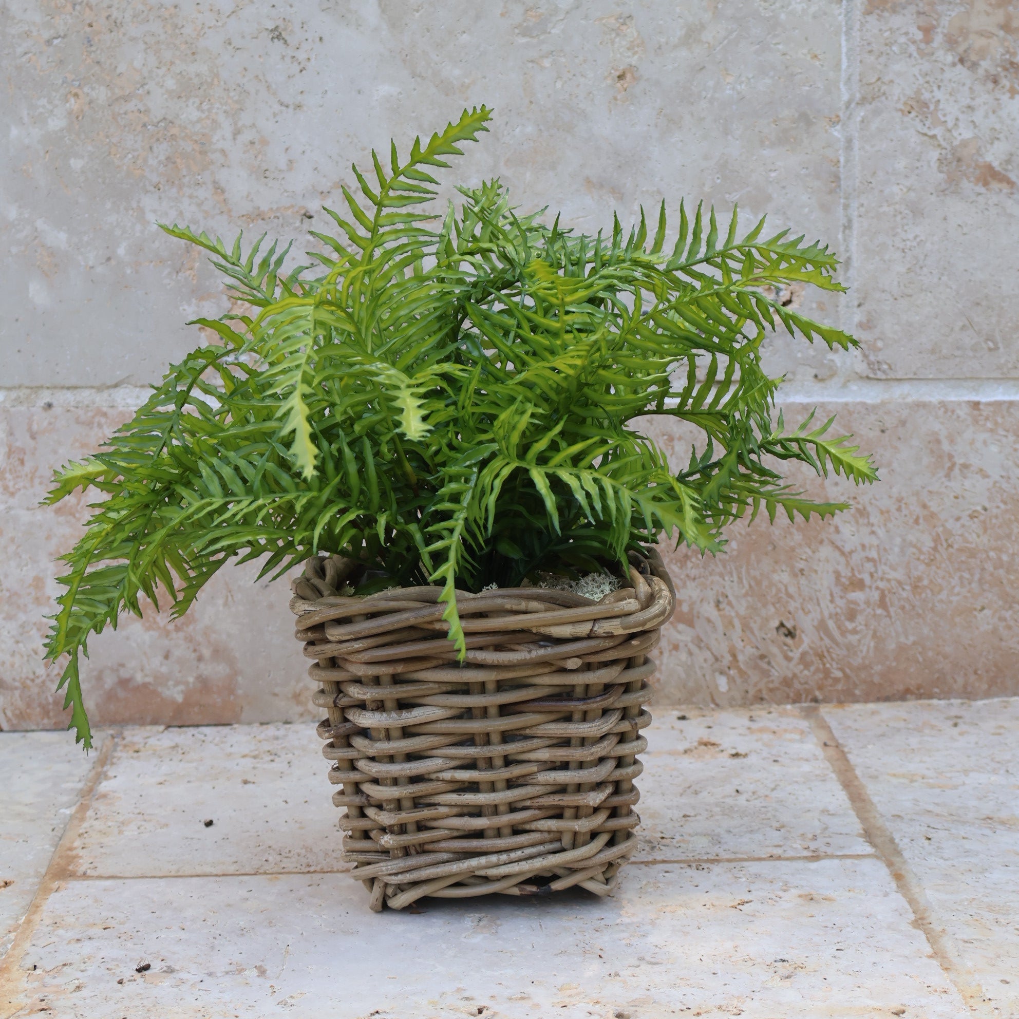 Faux Boston Fern In Square Rattan Basket
