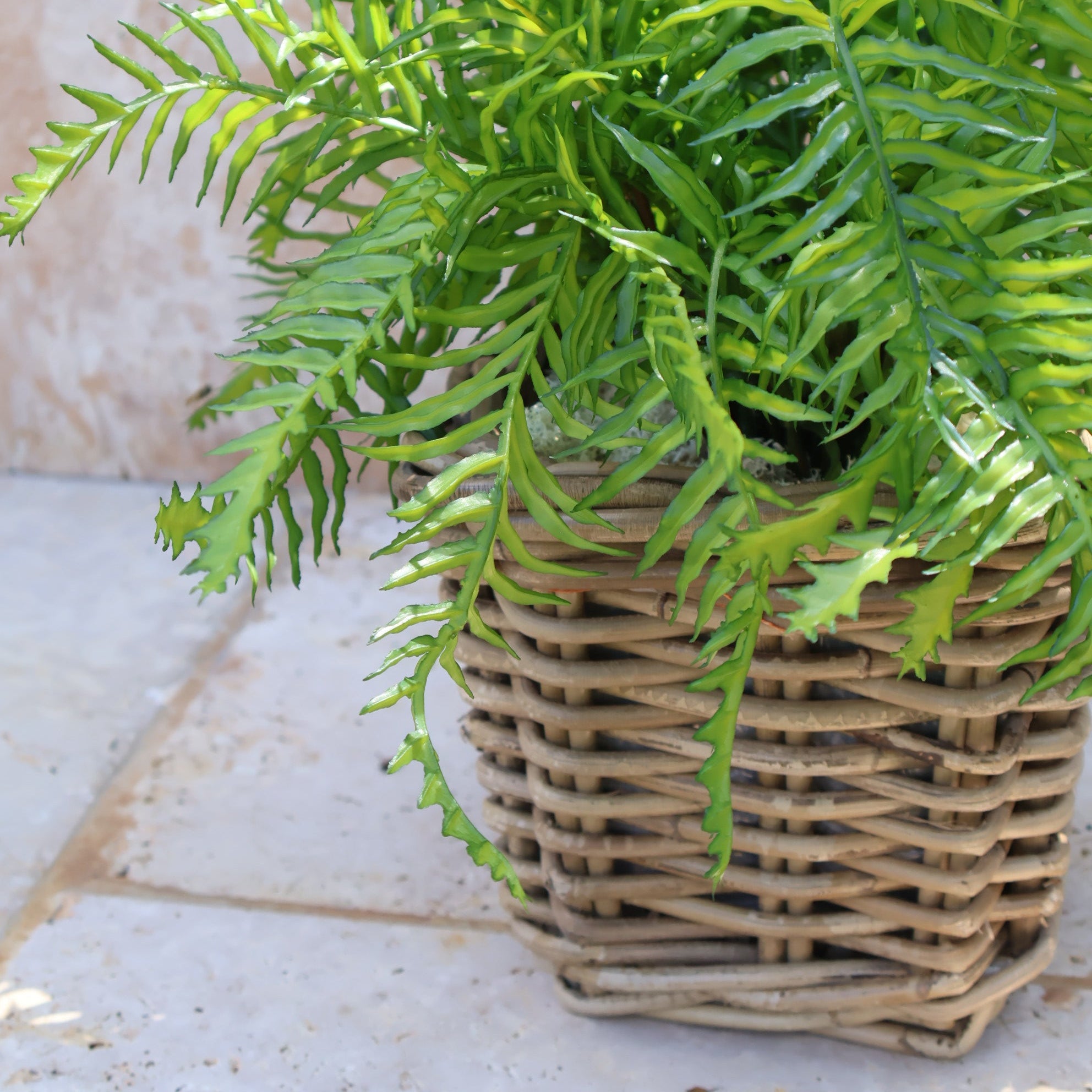 Faux Boston Fern In Square Rattan Basket
