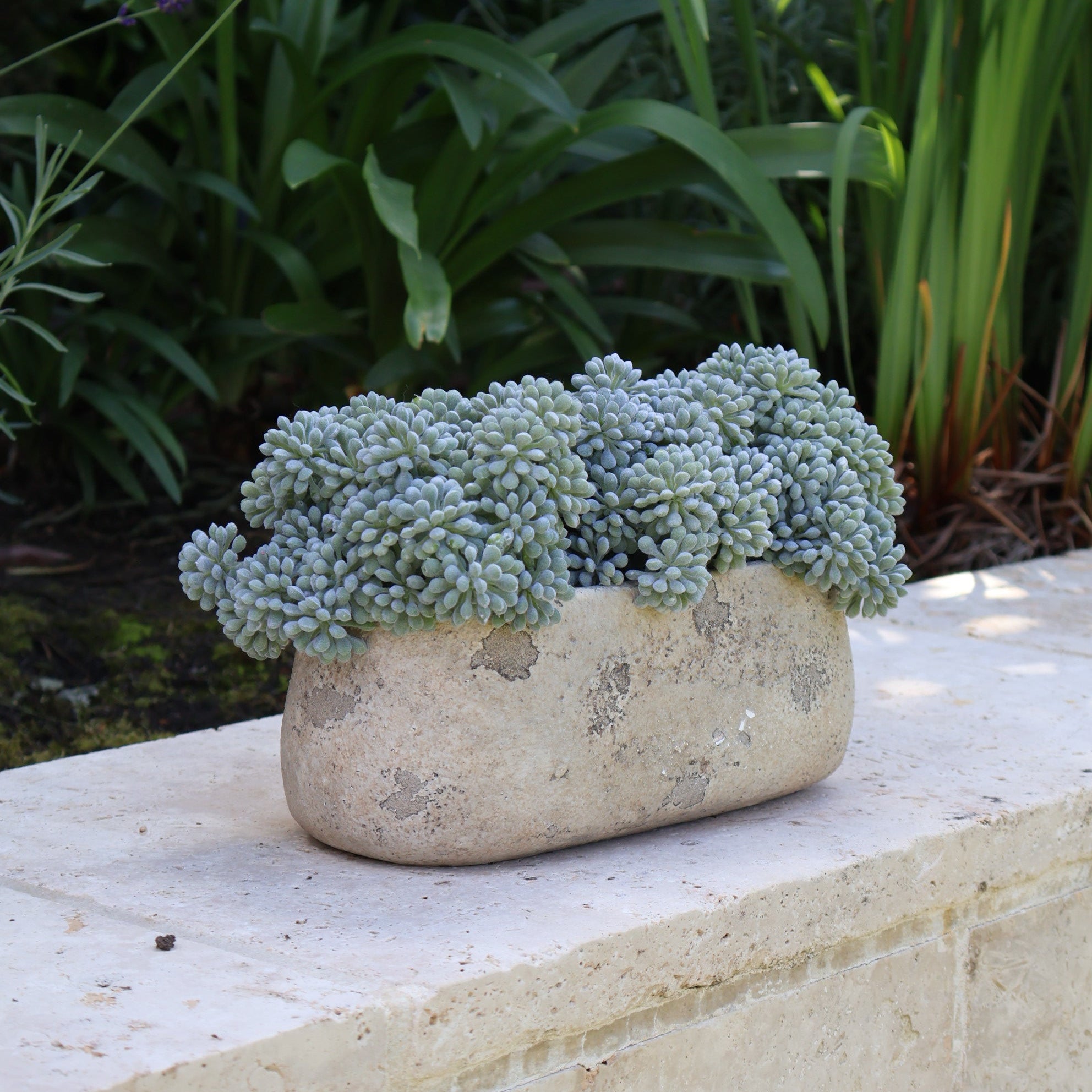 Faux Sedum In Cream Textured Vase