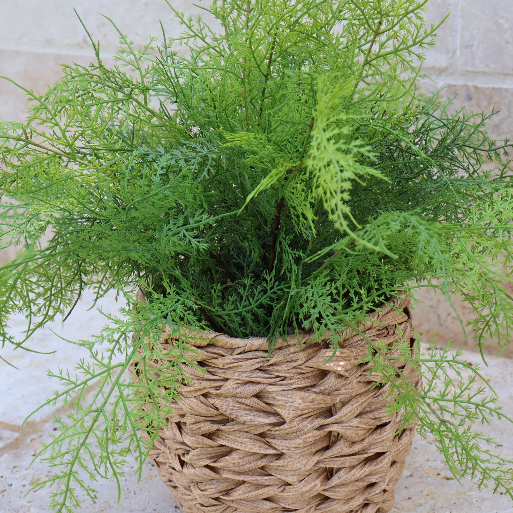 Faux Fern in Round Wicker Basket