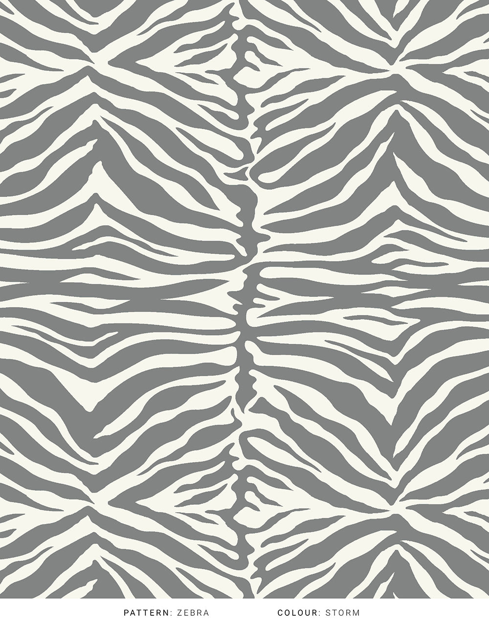 The Timeless Collection - Zebra Rug