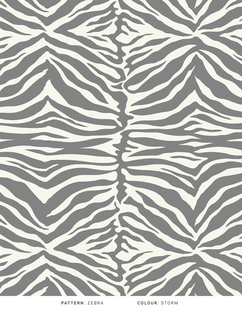 The Timeless Collection - Zebra Rug