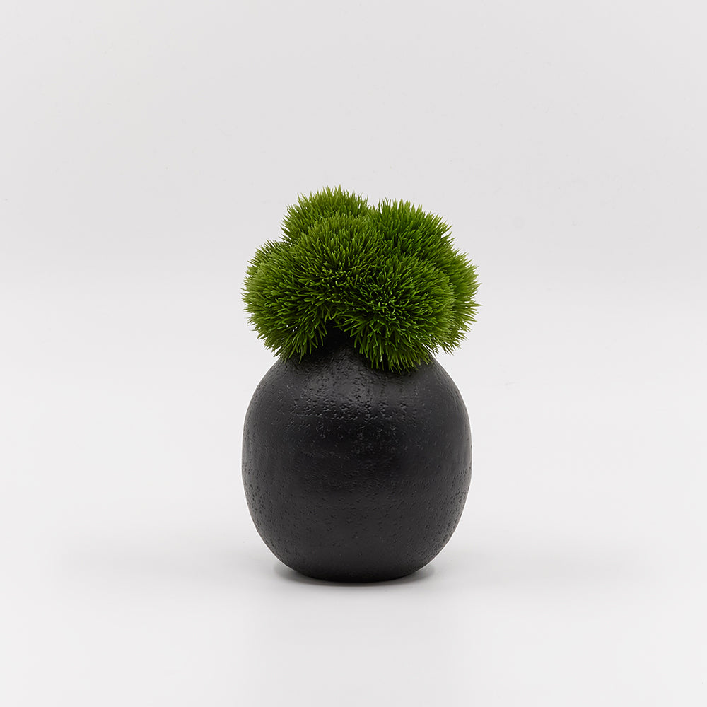 Dianthus in Small Black Vase