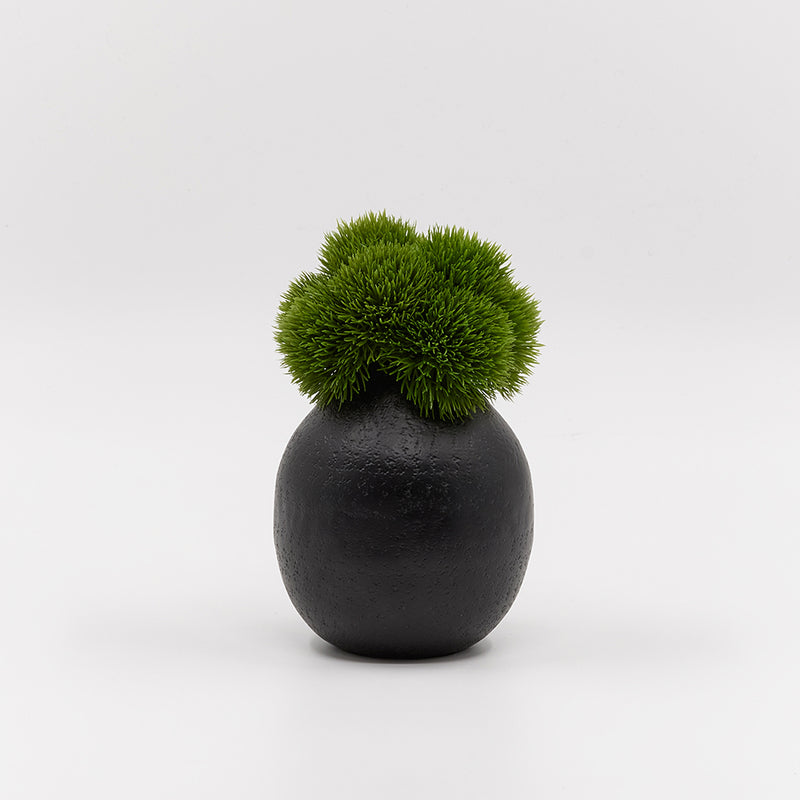 Dianthus in Small Black Vase