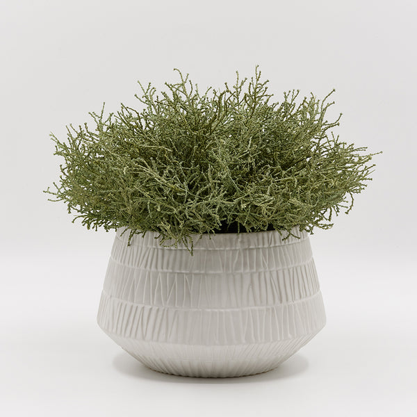 Cushion Bush in Graffi Vase