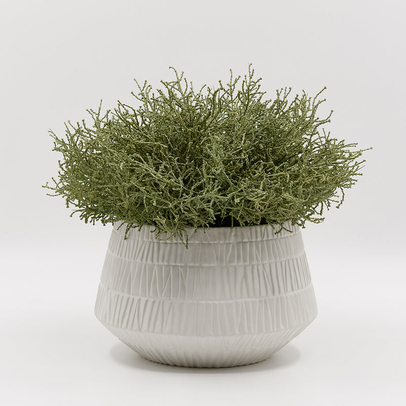 Cushion Bush in Graffi Vase