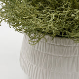 Cushion Bush in Graffi Vase