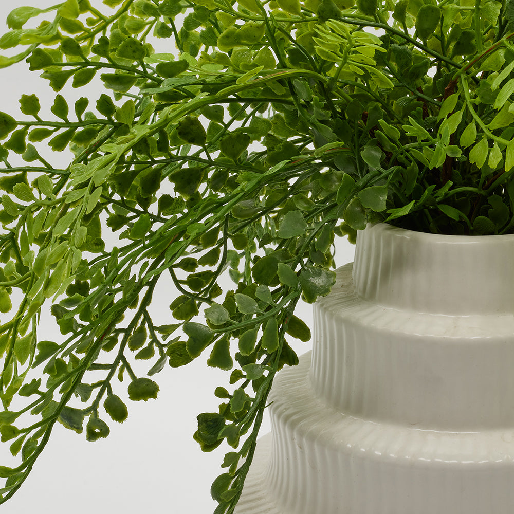 Maidenhair in White Stepped Vase Large